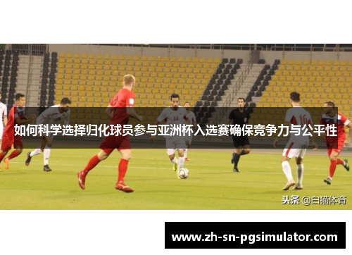 如何科学选择归化球员参与亚洲杯入选赛确保竞争力与公平性