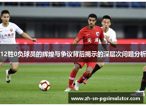 12胜0负球员的辉煌与争议背后揭示的深层次问题分析