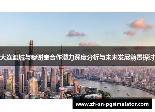 大连鲲城与穆谢奎合作潜力深度分析与未来发展前景探讨