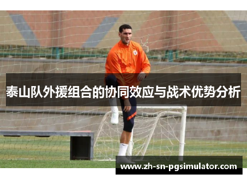 泰山队外援组合的协同效应与战术优势分析