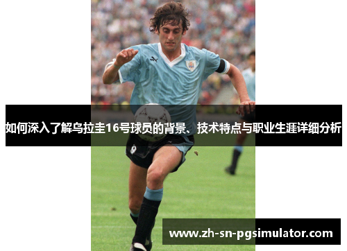 如何深入了解乌拉圭16号球员的背景、技术特点与职业生涯详细分析