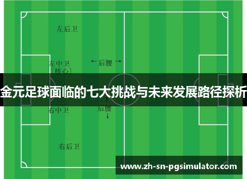 金元足球面临的七大挑战与未来发展路径探析