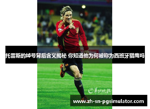 托雷斯的绰号背后含义揭秘 你知道他为何被称为西班牙猎鹰吗